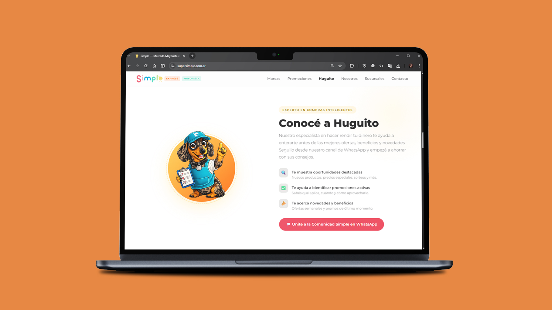 Landing Simple — Mayorista y Express